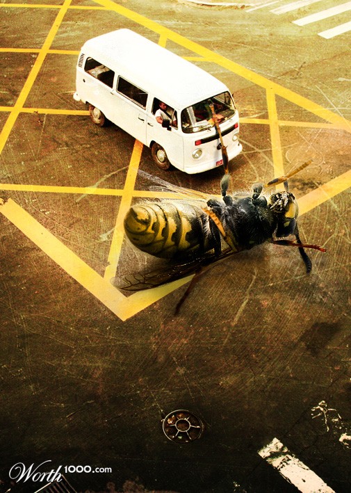 Killer Wasp