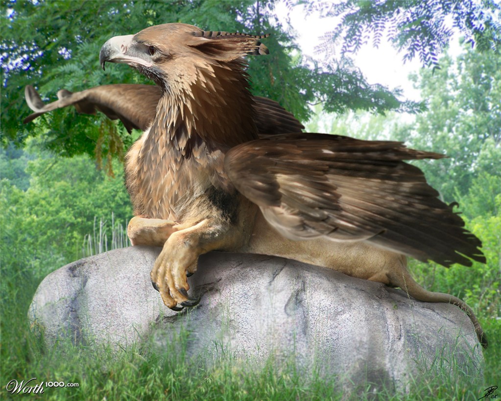 Griffin