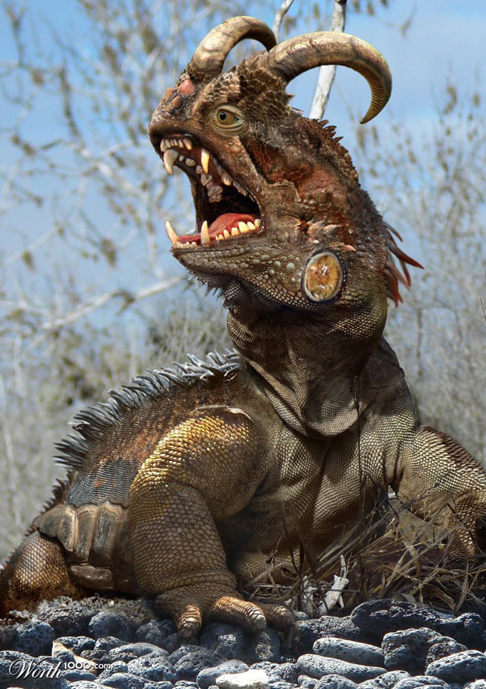 Dinogoaturtle