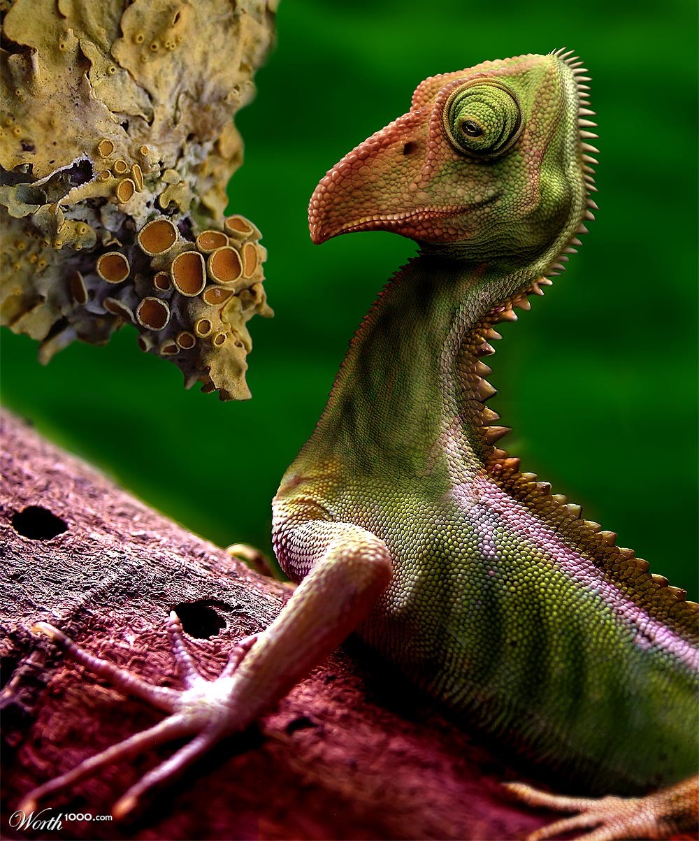 Fungusaur