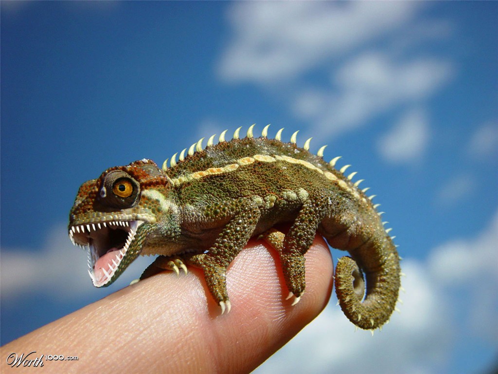 Dinocritter