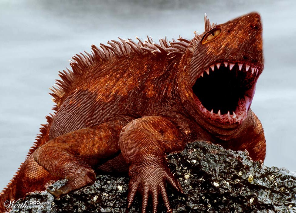 Extinct Iguana