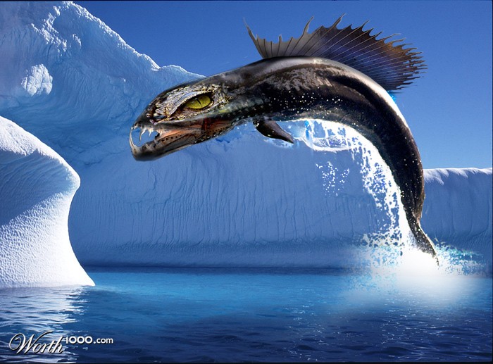 arctic
