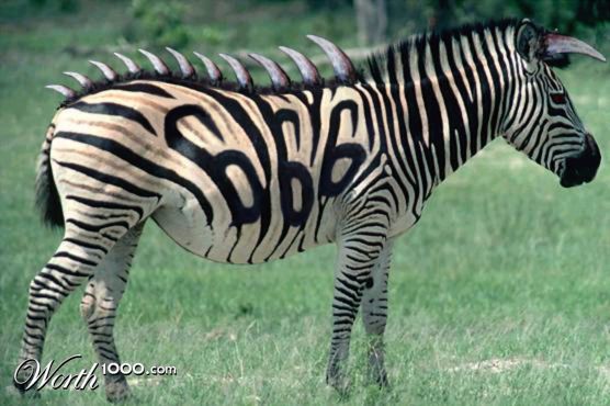 Evil Zebra