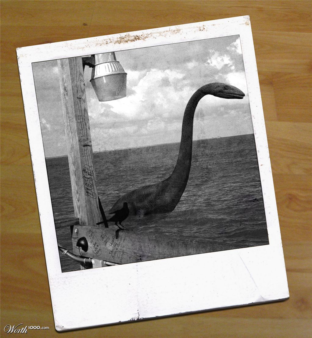 On Polaroid