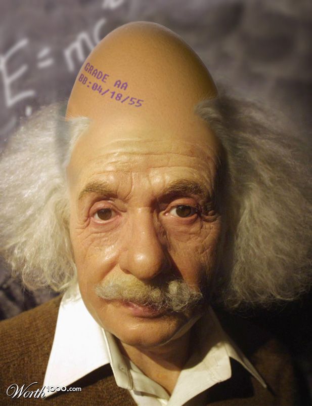 Egg=mc2
