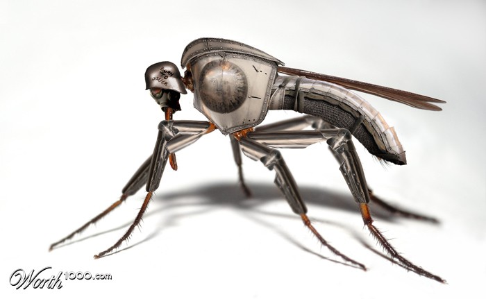 Iron Mosquito