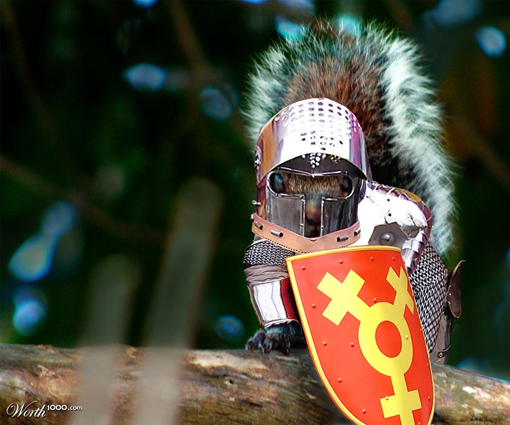 Sir Squirrel