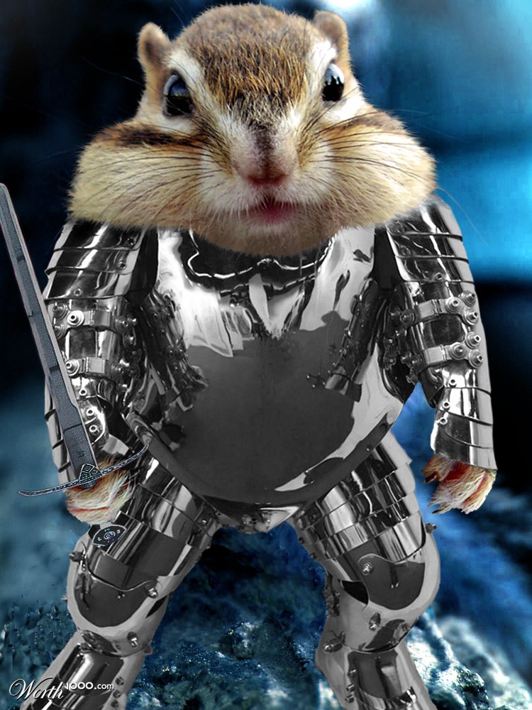 Squirrel Knight