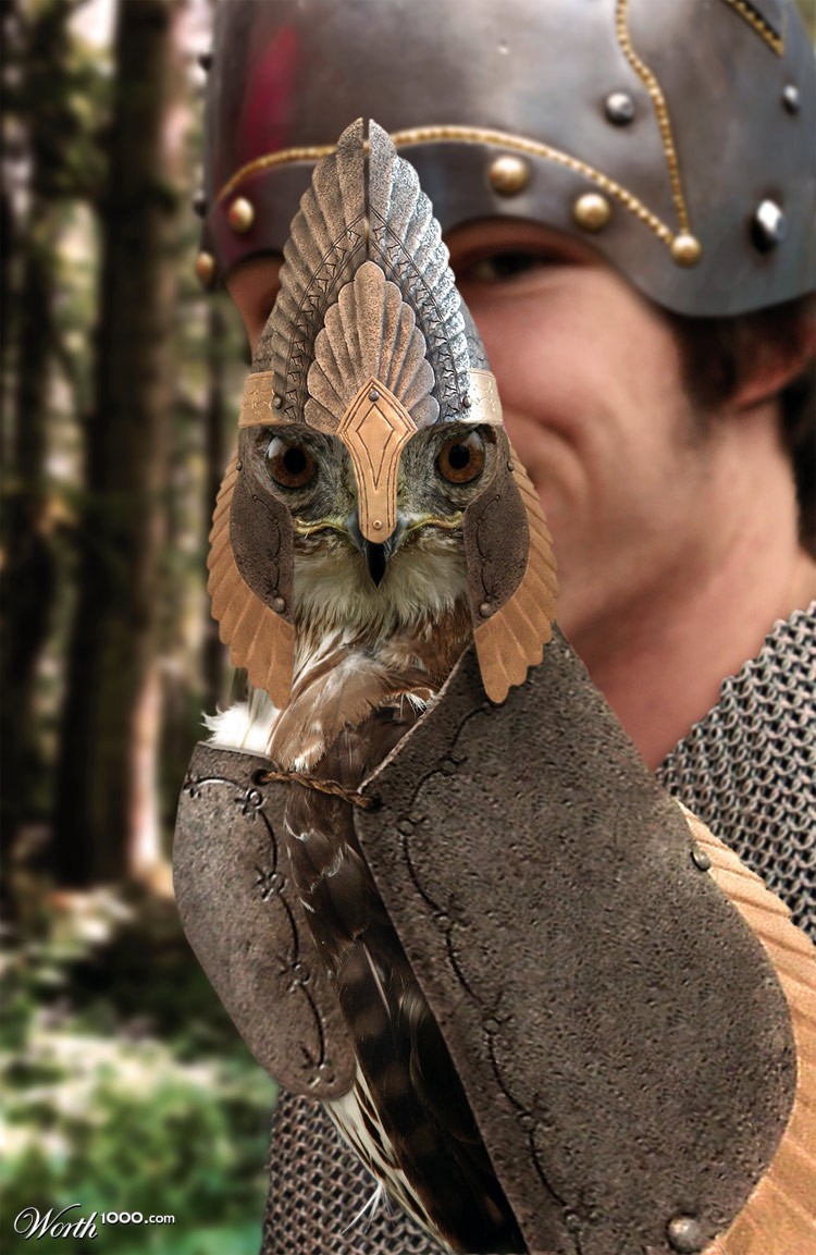 Hawk