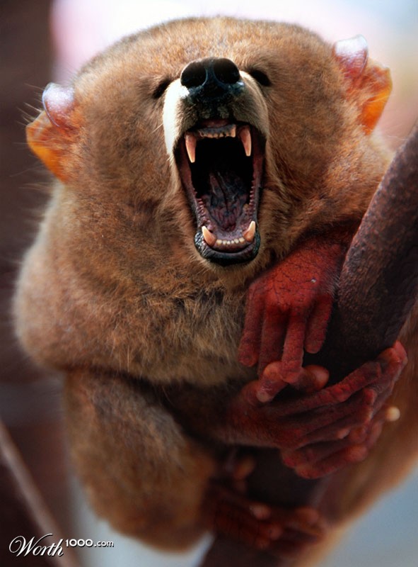 grizzleta
