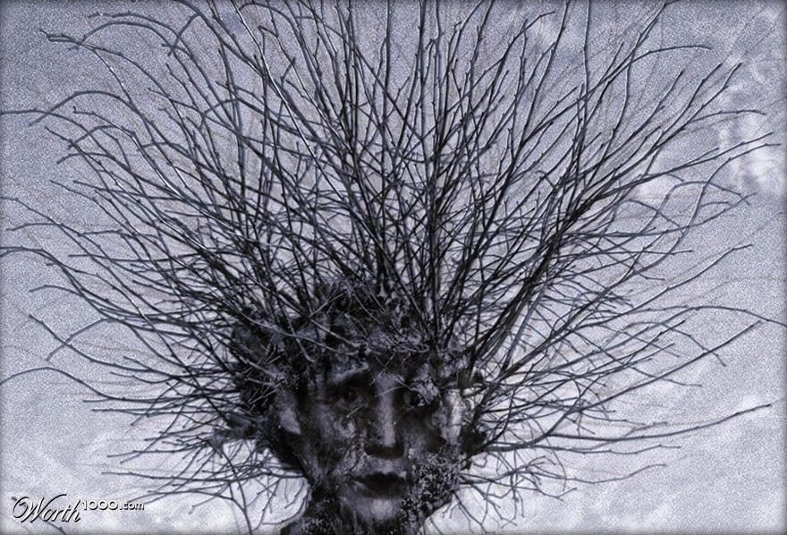 Scissorhand Willow