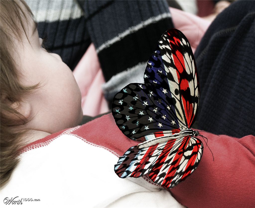 American Butterfly