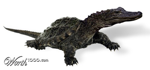 Alligurtle