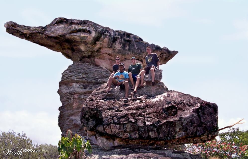 Reptile Rock