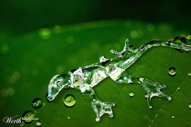 Liquid Dew Lizard
