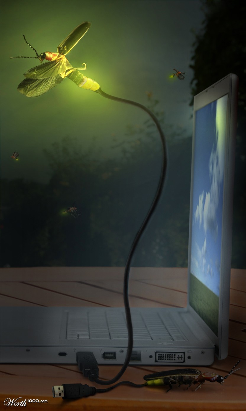 Firefly USB