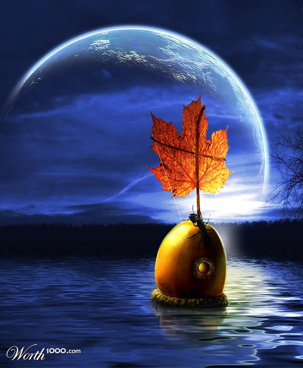 Acorn Yacht