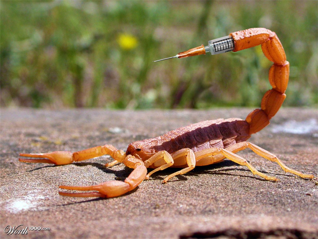 ScorpionSting