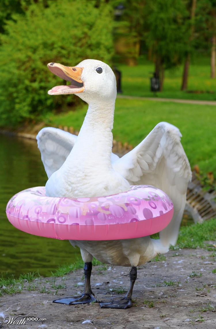 Non-Swimmer