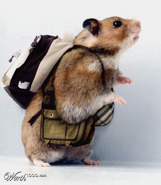 Hamsterbags