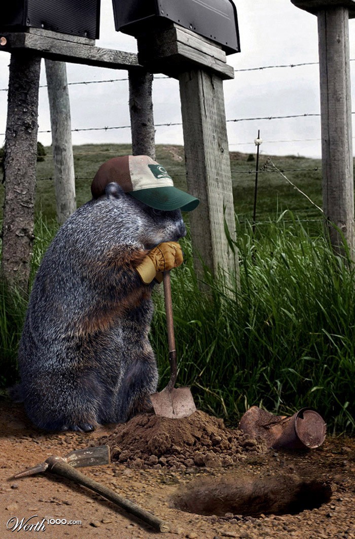 Groundhog Hole