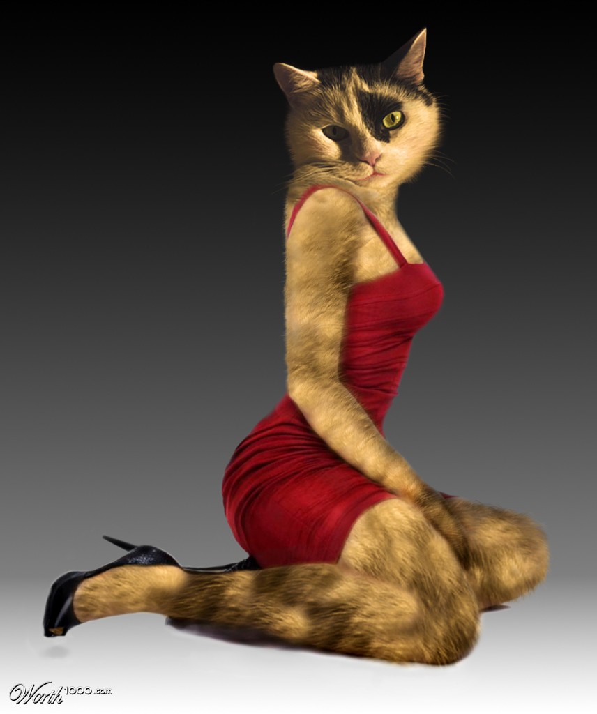 pin_up_pussy