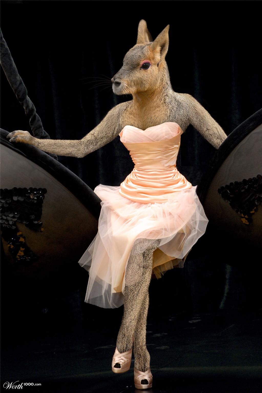 rodent pinup