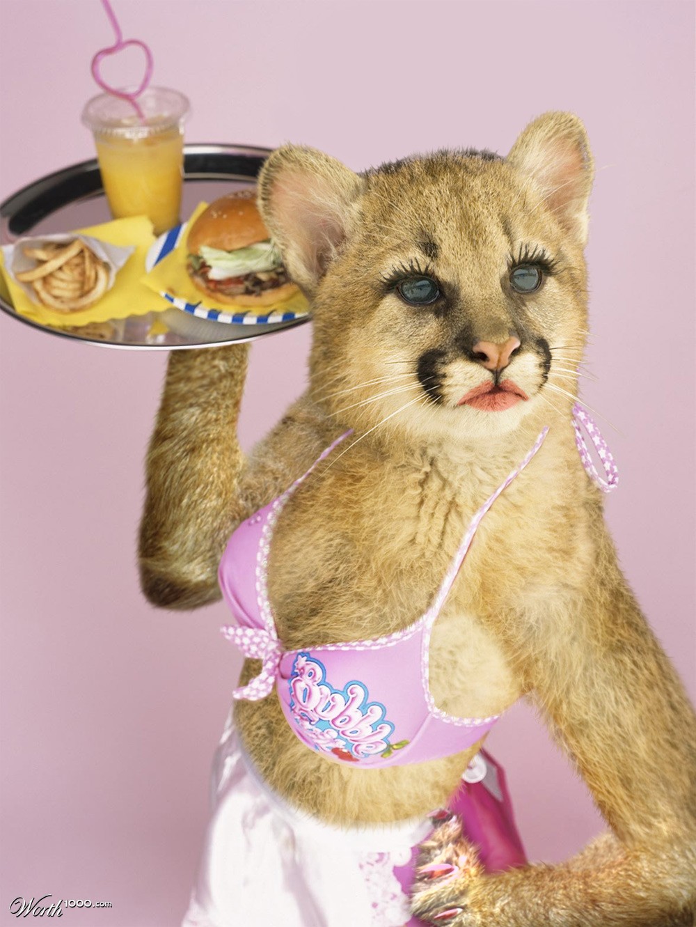 Cougar Pinup