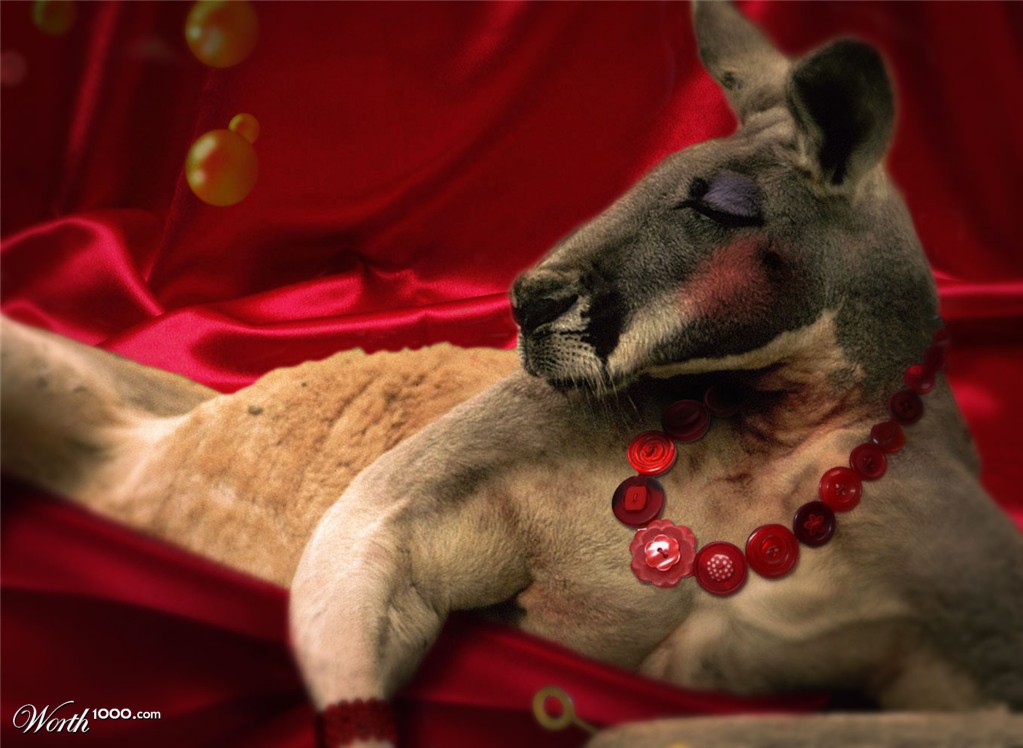 roo....