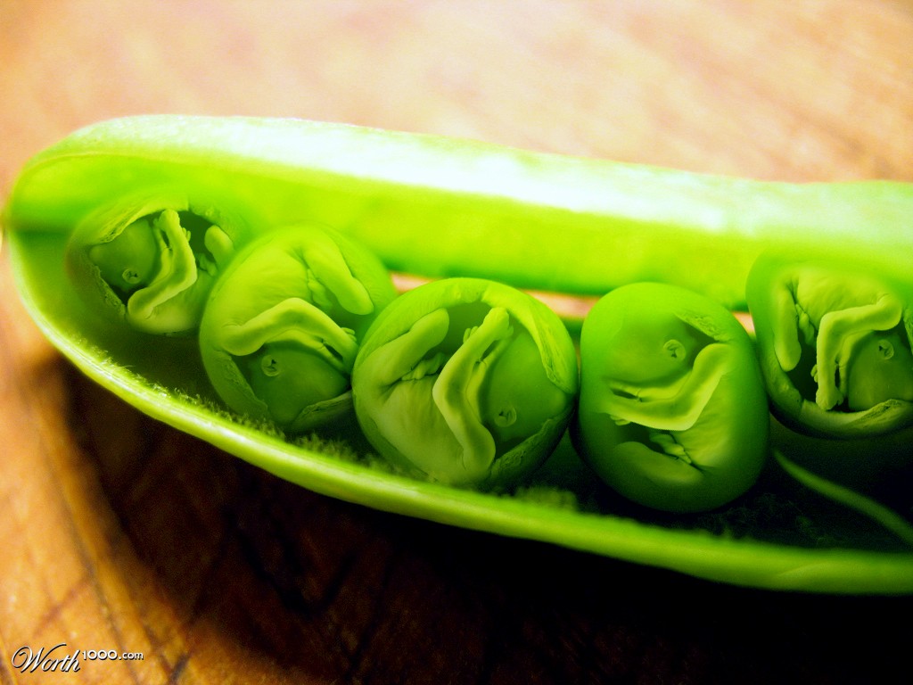 Green Bean Babies