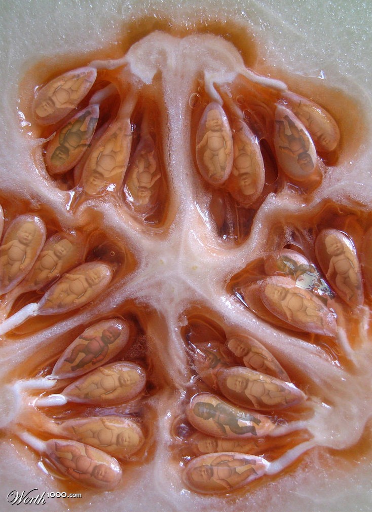 Seed Babies