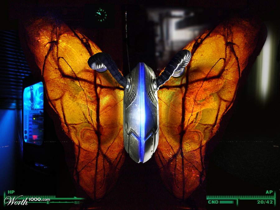 Cocoon Machine