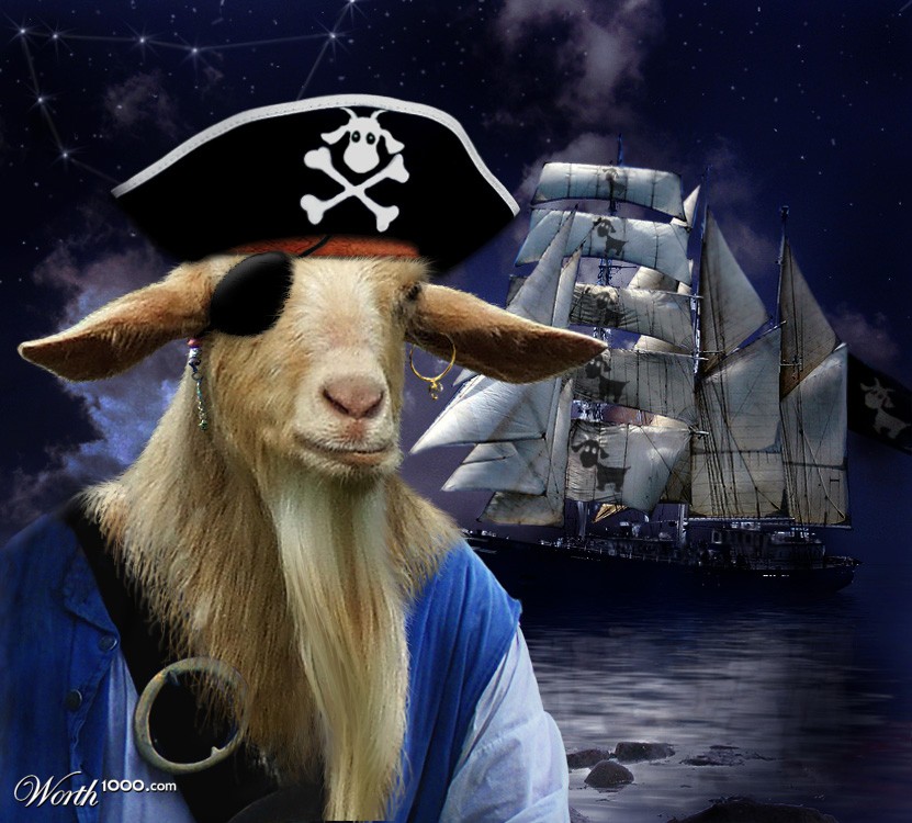Capt'n Kid