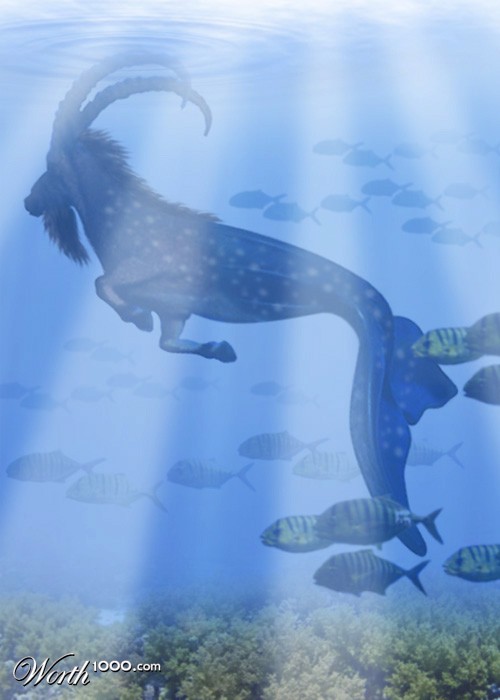 seagoat