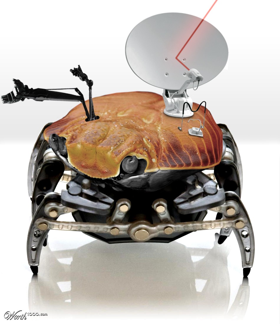 Robo-Crab