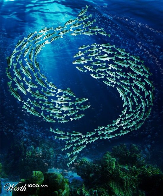 Pisces Fish