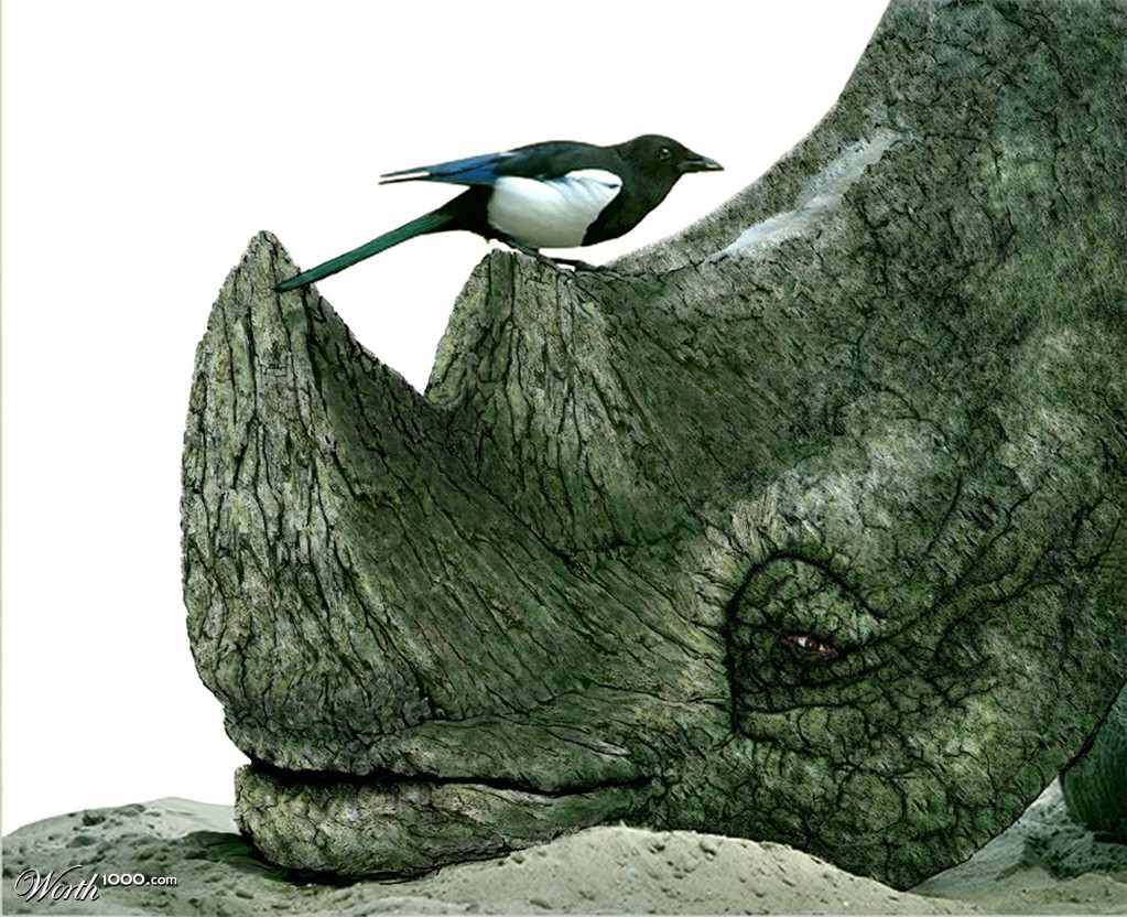 Rhinosatree