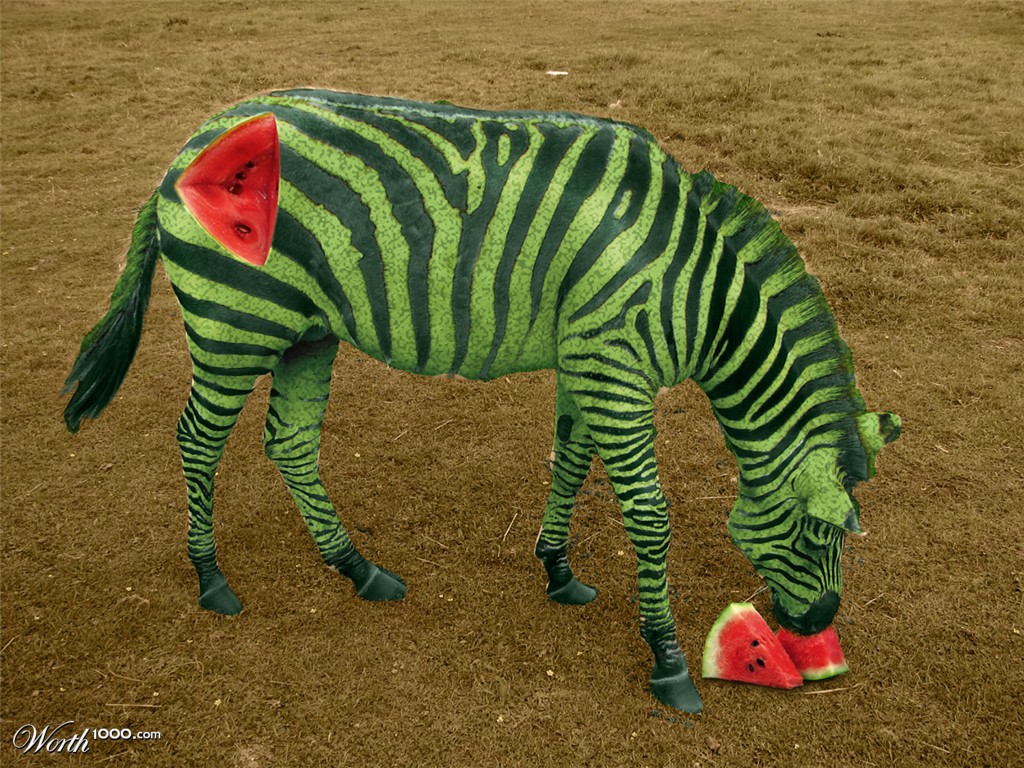 Zebramelon
