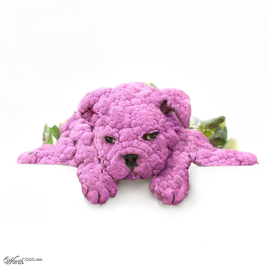 Mr. Cauliflower