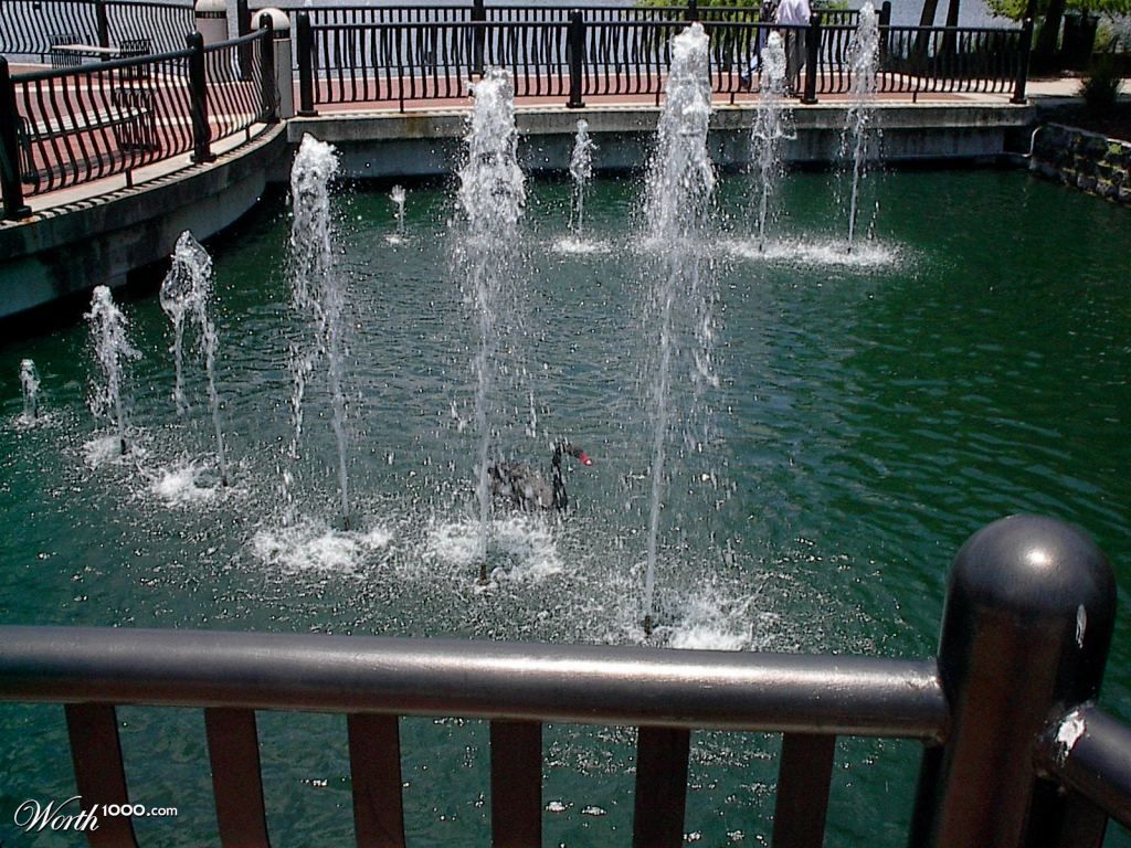 Water Spirits