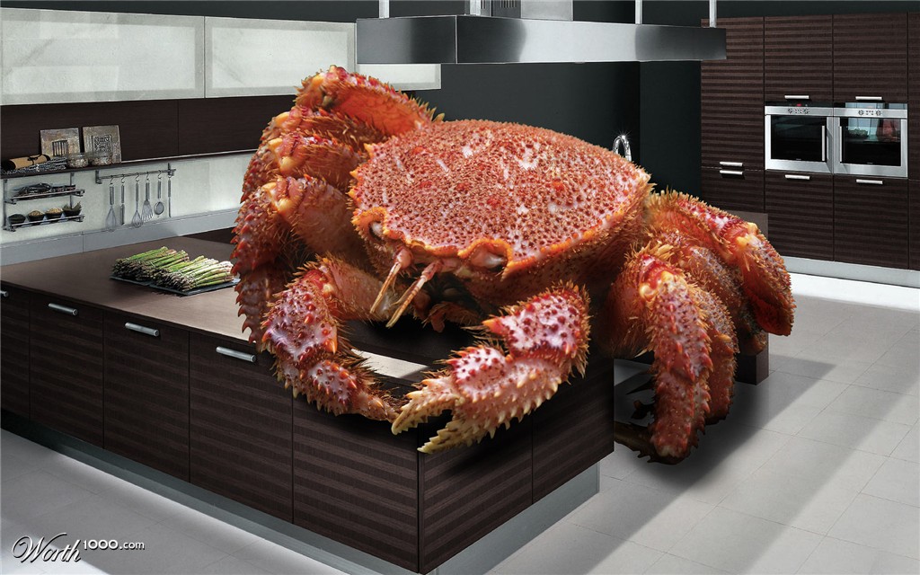 Holly...Crab!!