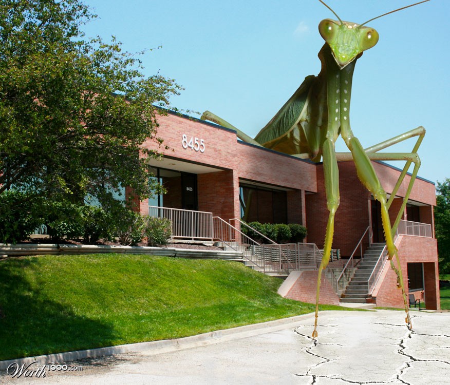 Mantis_Attack