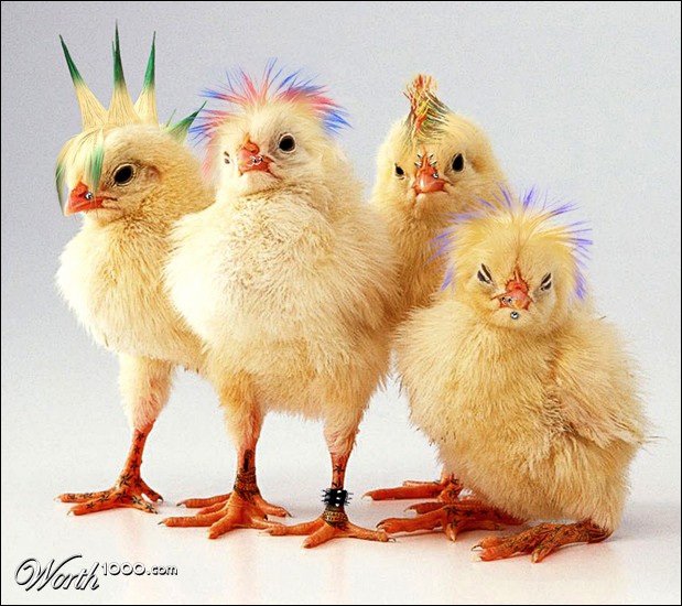 Punk Rock Chicks