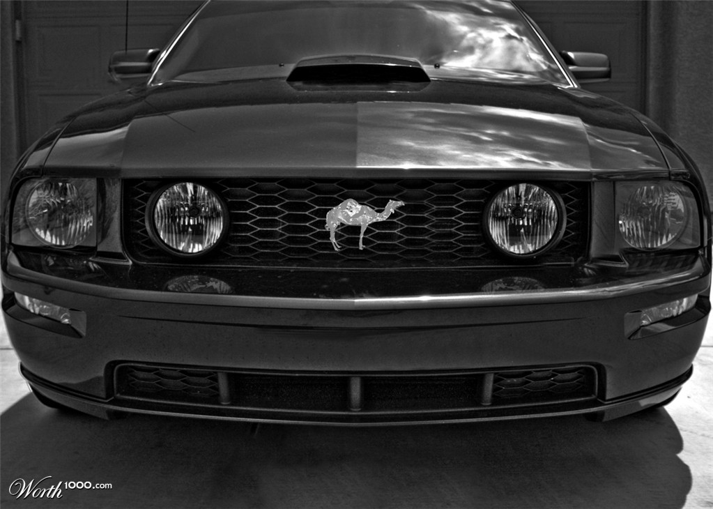 Mustang?