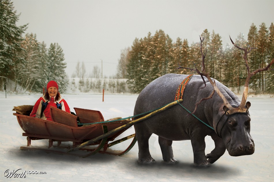 Reindeer Sleigh