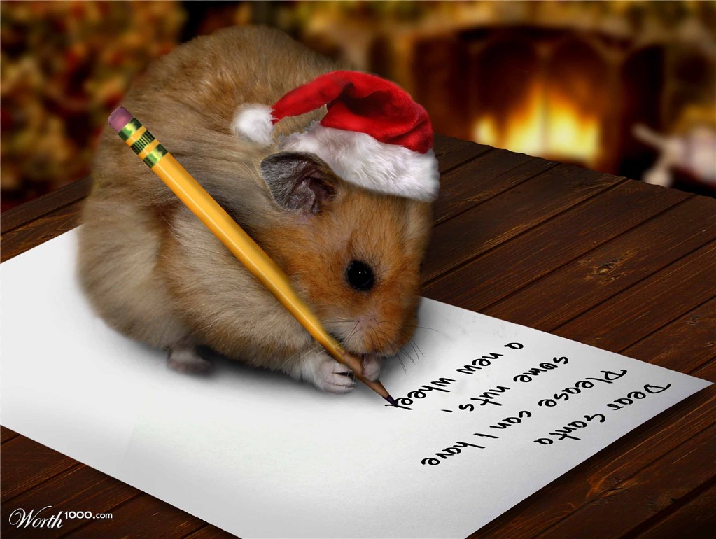 Hammy Christmas