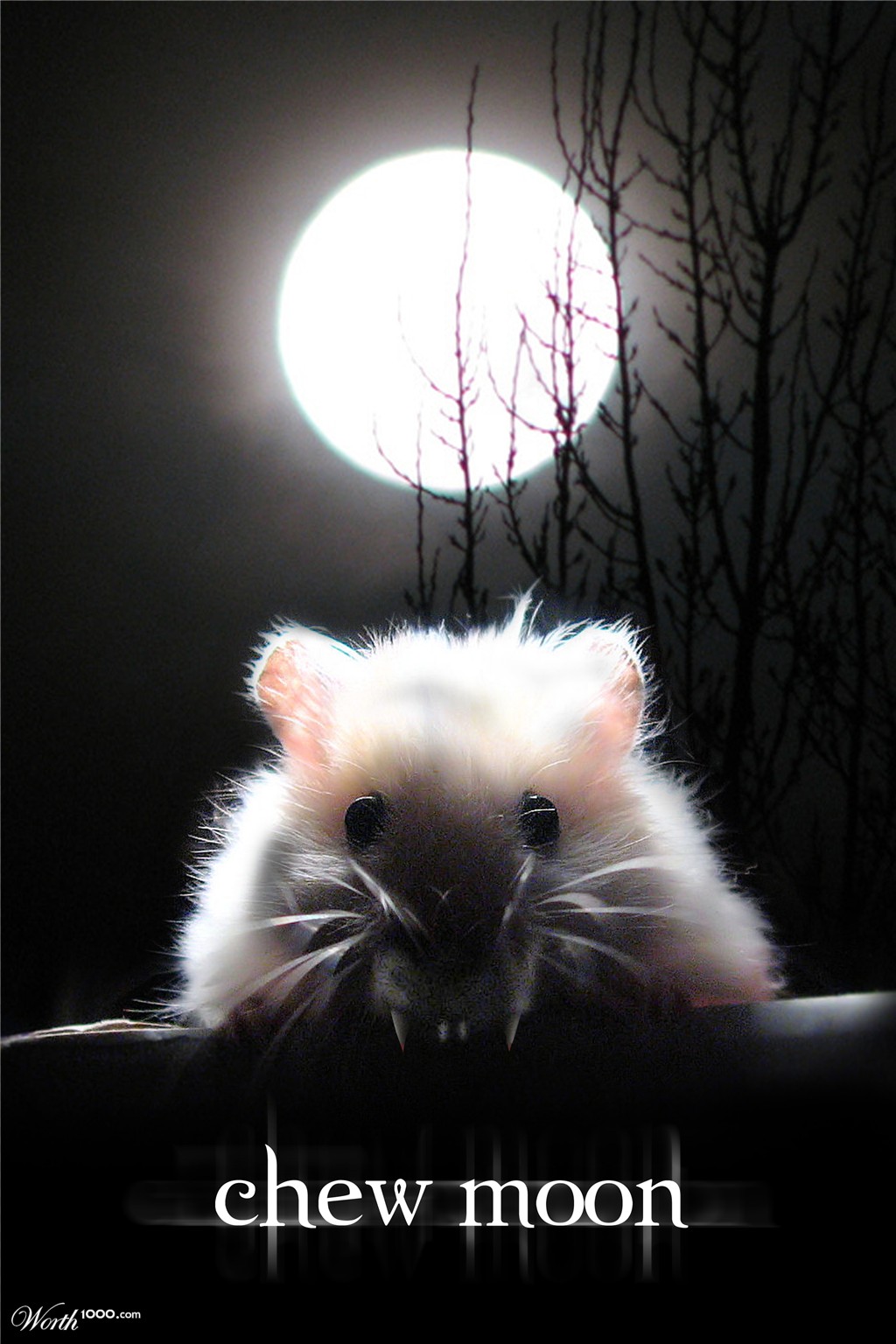 Chew Moon
