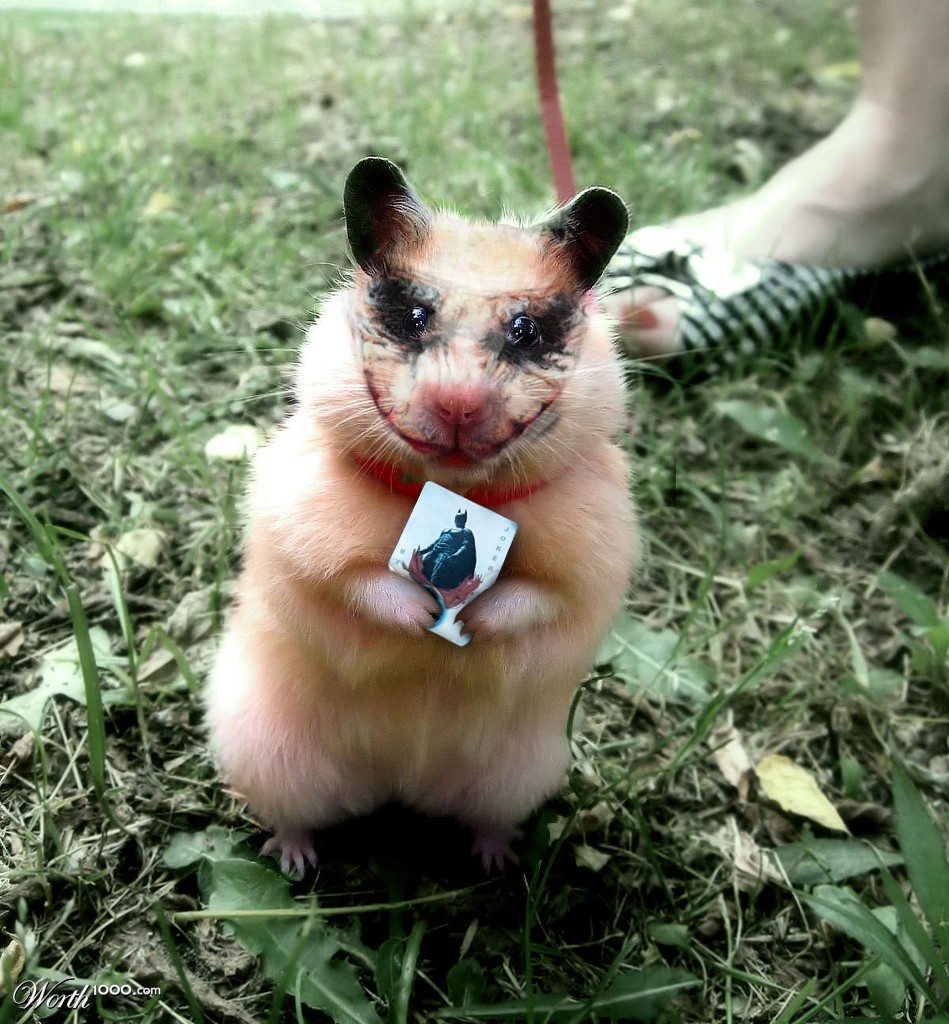hamster joker