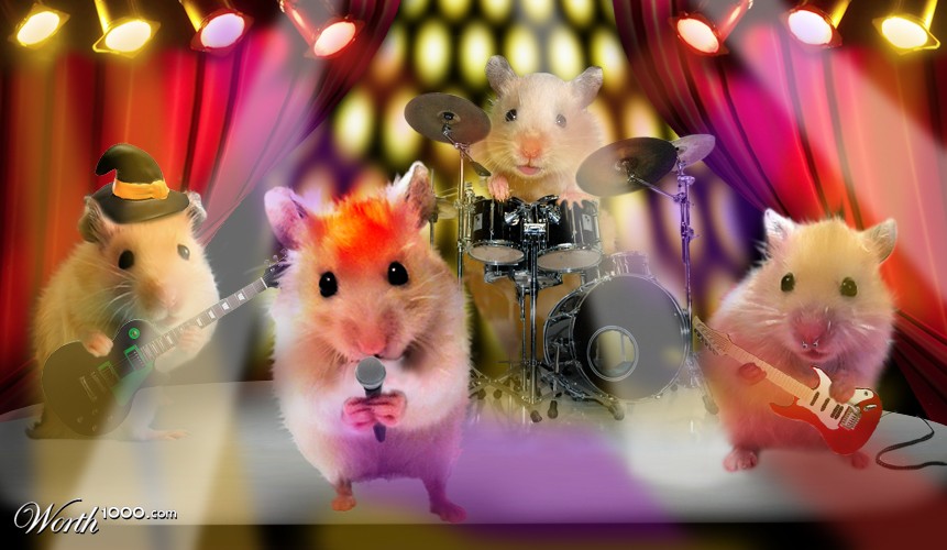 They Rock!